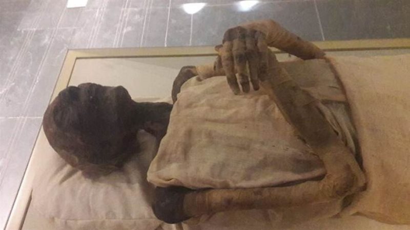 مومياء الملك رمسيس