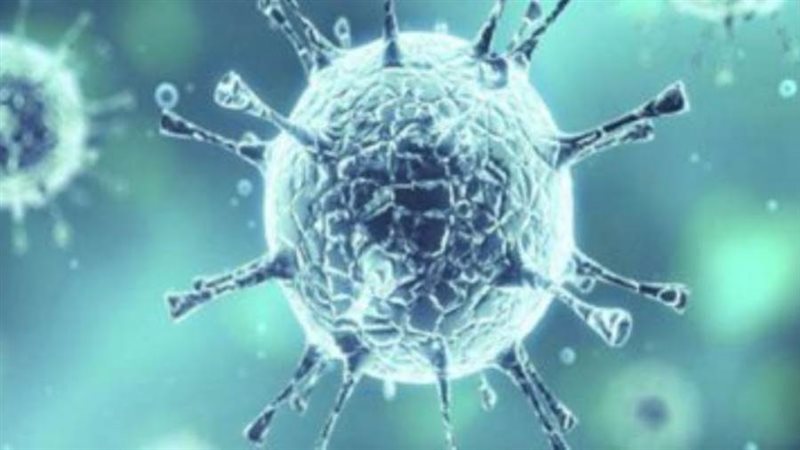 فيروس كورونا