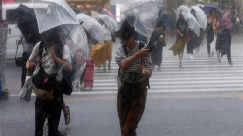 العاصفة دولفين