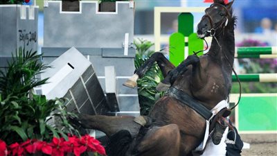 تعليق مشاركة الإمارات في المسابقات الدولية للفروسية