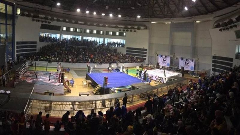 بوابة روز اليوسف