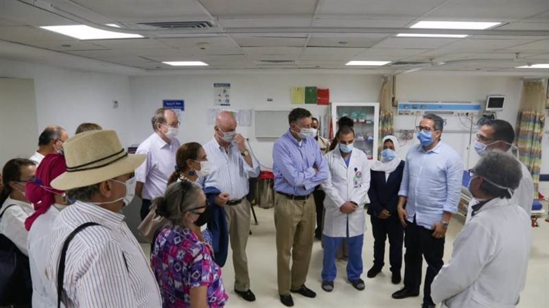 السفراء والعناني