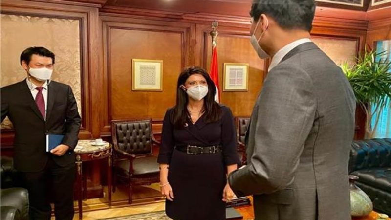 المشاط تبحث مع سفير