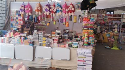 توزيع 50 مشروعا تنمويا بالمنيا