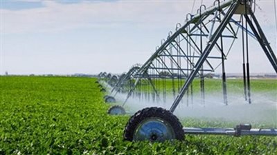 زراعة الوادي الجديد: تحويل 180 فدانًا للري الحديث 