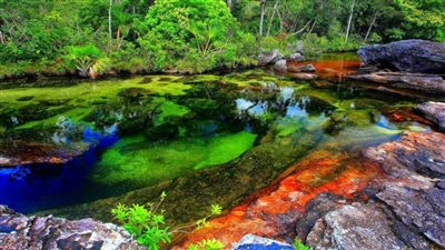 نهر الألوان الخمسة في كولومبيا.. الطبيعة تكشف عن سرها
