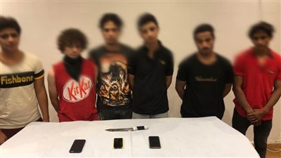 تفاصيل ضبط المتهمين بمضايقة فتاة أجنبية بزهراء مدينة نصر