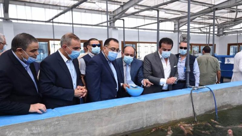 جولة رئيس الوزراء