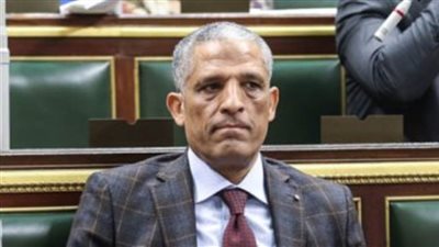 وكيل محلية النواب: الرئيس السيسي أرسى مبدأ العمل على أرض الواقع