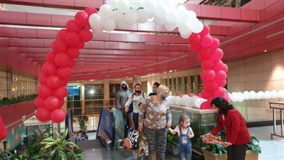 وصول أولى رحلات شركتي  Turkish Airlines و Edelweiss Air السويسرية لشرم الشيخ 