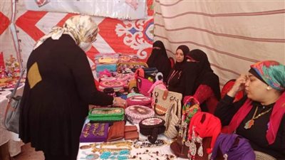 استمرار تفعيل مبادرة الرئيس حياة كريمة بالإسكندرية