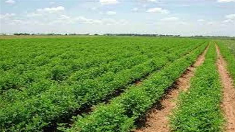 أراضي زراعية