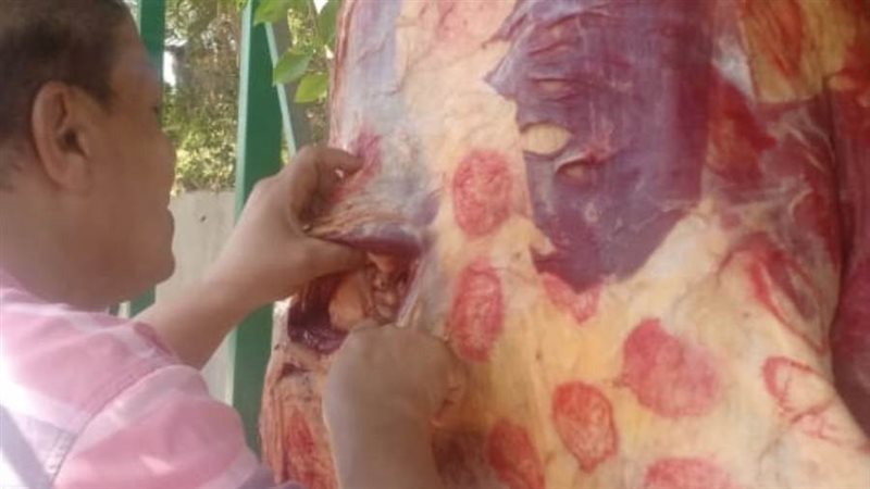 ضبط لحوم بمركز أبوتيج