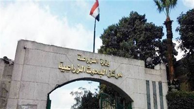 البحوث التطبيقية .. 