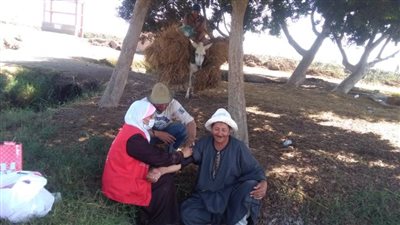 صحة الشرقية تحقق نسبة ١٠٢% بالمبادرة الرئاسية للاعتلال الكلوي خلال ١٧ يومًا