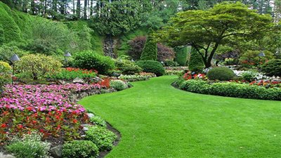 صناعة التجميل تتغير إلى الصناعة الخضراء