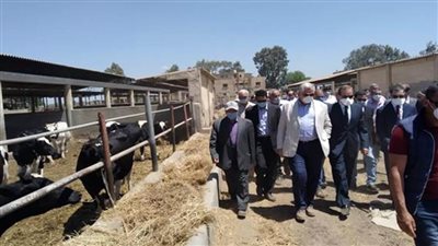  طفرة تنموية بقطاع الثروة الحيوانية 