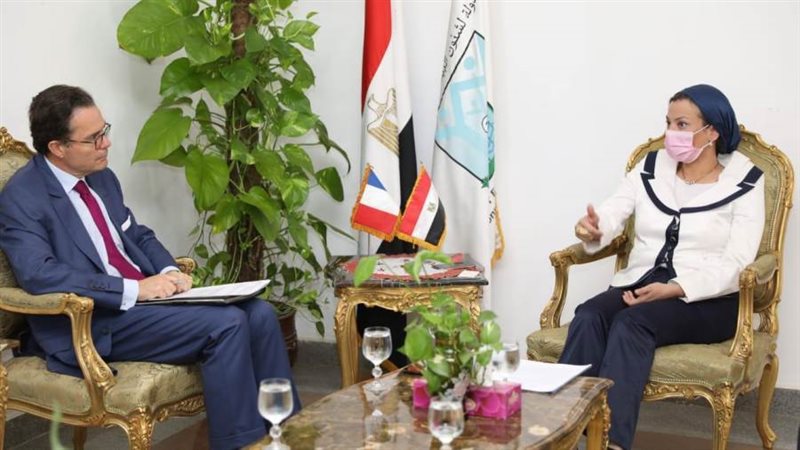 تعاون مصري فرنسي