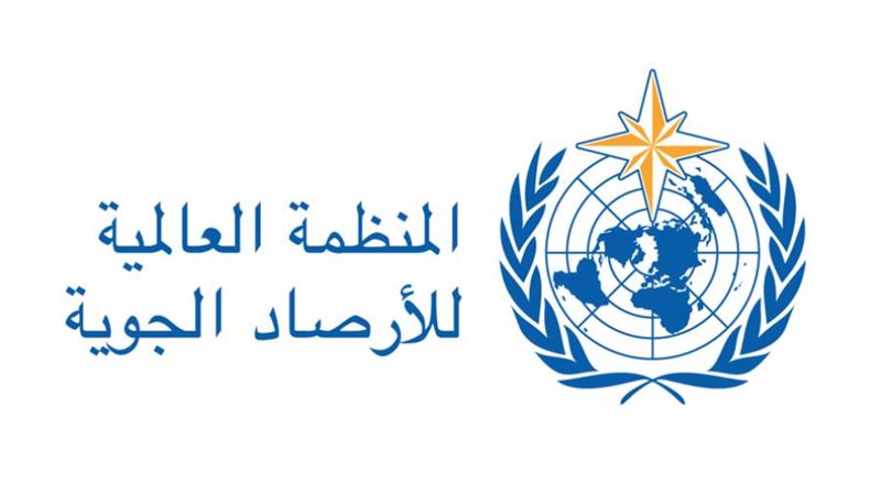 المنظمة العالمية