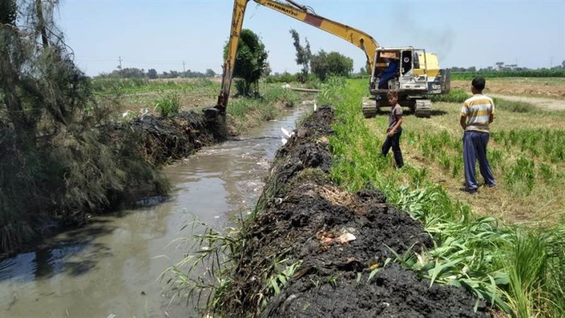 جانب من تطهير الترع