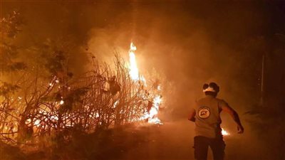 قتلى وآلاف النازحين جراء حرائق في سوريا ولبنان وإسرائيل