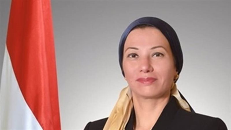 الدكتورة ياسمين فؤاد