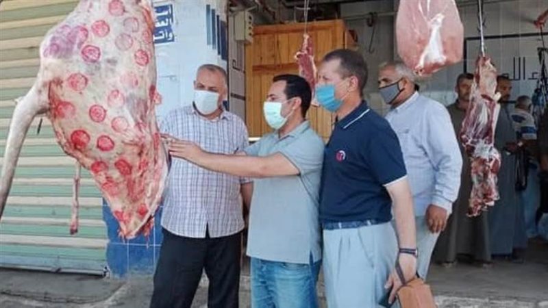 لجان التفتيش