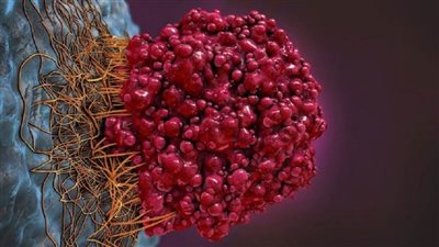 دراسة: مكّون غذائي بسيط ورخيص يستهدف الآلية الأساسية المسببة للسرطان!