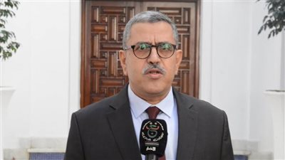 رئيس وزراء الجزائر يكشف فوائد التعديلات الدستورية