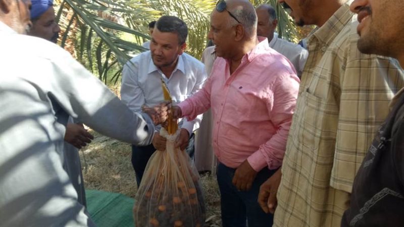 جدانب من المدرسة