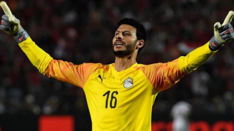 محمد الشناوي