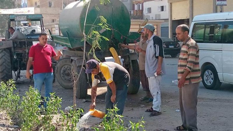 زراعة الأشجار