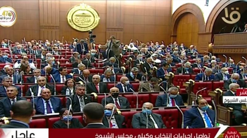 مجلس الشيوخ