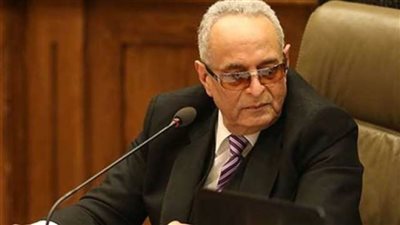 بهاء أبوشقة: رأي 