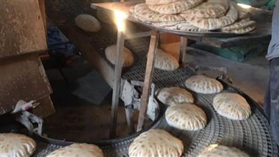 تحرير 46 مخالفة فى حملة تموينية مكبرة بالبحيرة