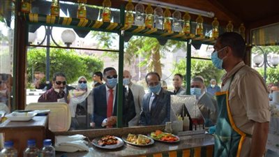 محافظ الدقهلية يفتتح مشروع 