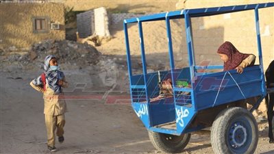 تلاميذ سيوة.. بساطة وجد وعمل واجتهاد في سبيل العلم