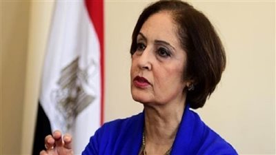 نائلة جبر: مصر واجهت التحديات التي فرضها 
