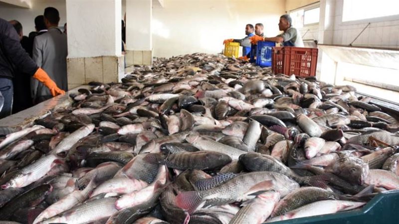 صورة ارشيفية