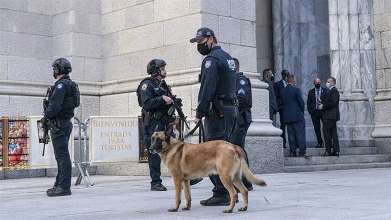 شرطة نيويورك