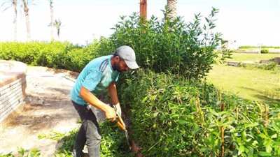 حملات نظافة وتجميل ورفع كفاءة الإنارة بكفر الشيخ