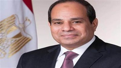 الرئيس السيسي يشارك في قمة إفريقية تنسيقية لمواجهة اثار كورونا