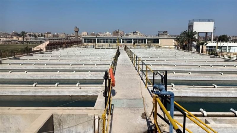 الشهادة جاءت بعد