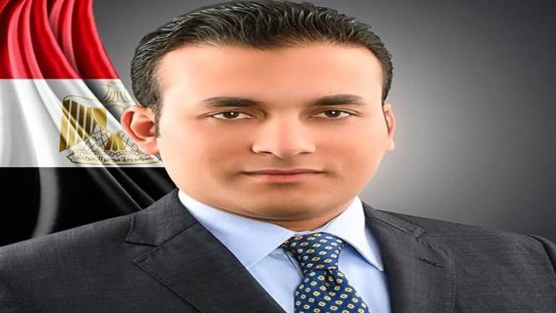 النائب عمرو فهمي