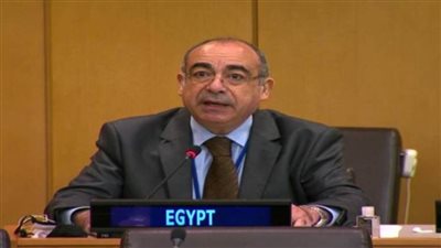 مصر تؤكد دعمها للعمل الدولى فى إطار أهداف ومبادئ الأمم المتحدة