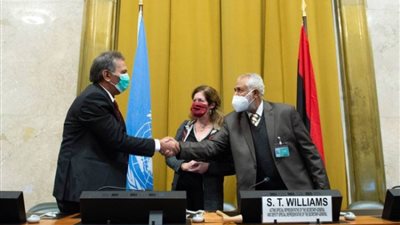 الإمارات ترحب بإعلان وقف إطلاق النار في ليبيا