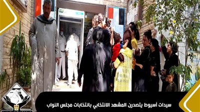 عمليات تنسيقية شباب الأحزاب: سيدات أسيوط يتصدرن المشهد الانتخابي