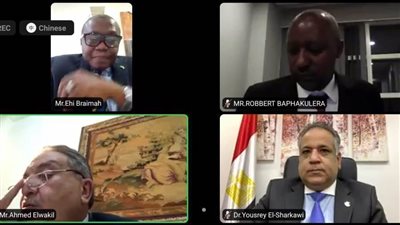 أحمد الوكيل: هناك 100 شركة مصرية تعمل في القارة الإفريقية