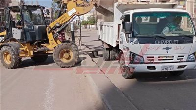 استمرار حملات النظافة والتجميل بشوارع وميادين كفر الشيخ