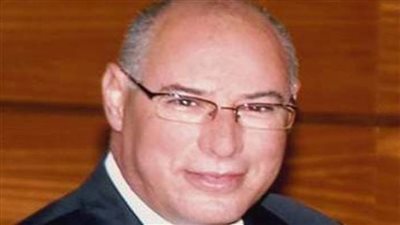 رئيس بعثة الجامعة العربية: انتخابات مجلس النواب سلسة ومنتظمة